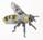 DS ABEILLE2.jpg